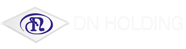 DN Holding Logo